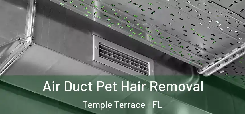  Air Duct Pet Hair Removal Temple Terrace - FL