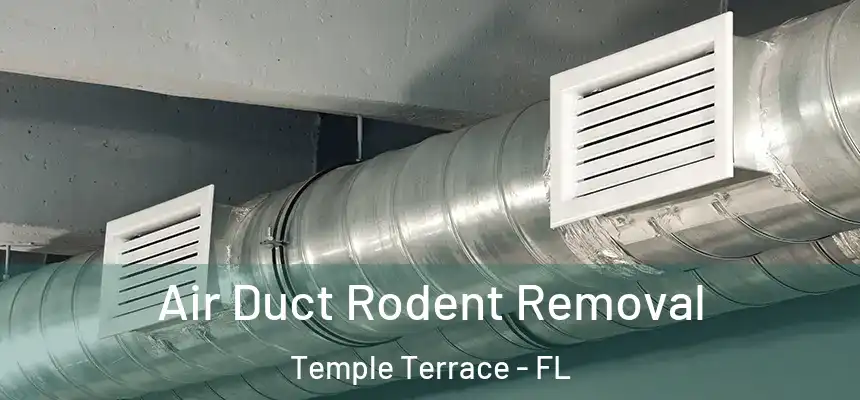  Air Duct Rodent Removal Temple Terrace - FL