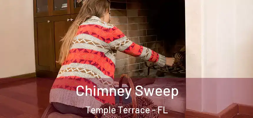  Chimney Sweep Temple Terrace - FL