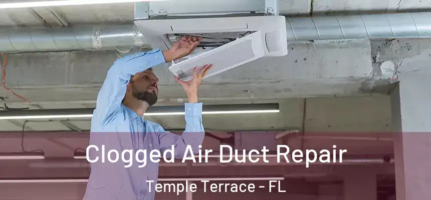  Clogged Air Duct Repair Temple Terrace - FL