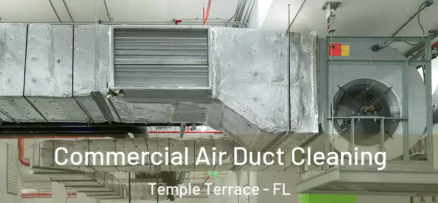  Commercial Air Duct Cleaning Temple Terrace - FL