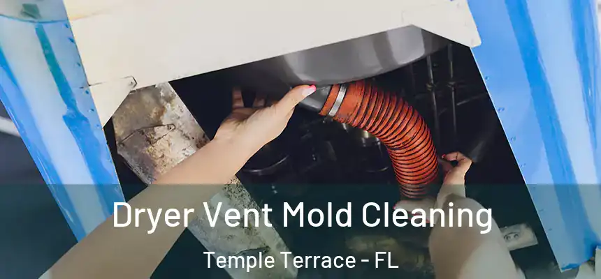  Dryer Vent Mold Cleaning Temple Terrace - FL