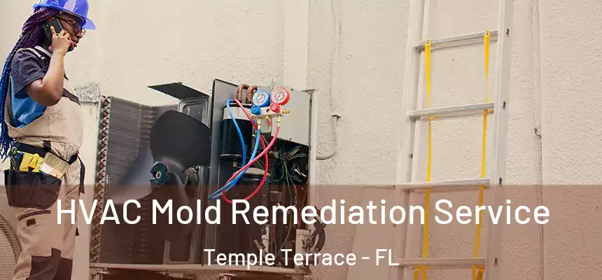  HVAC Mold Remediation Service Temple Terrace - FL