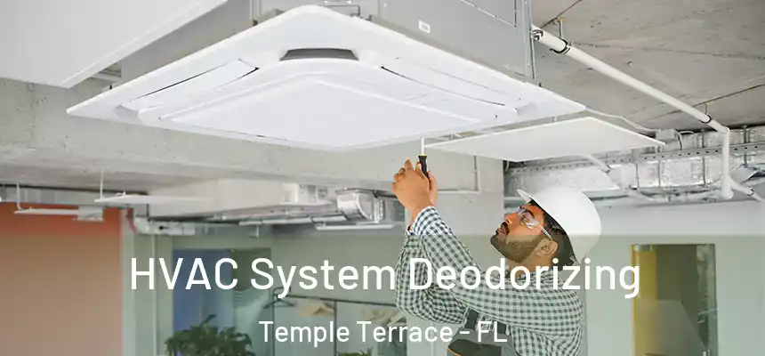  HVAC System Deodorizing Temple Terrace - FL