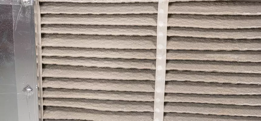 Mobile Car AC Filter Replacement in Temple Terrace