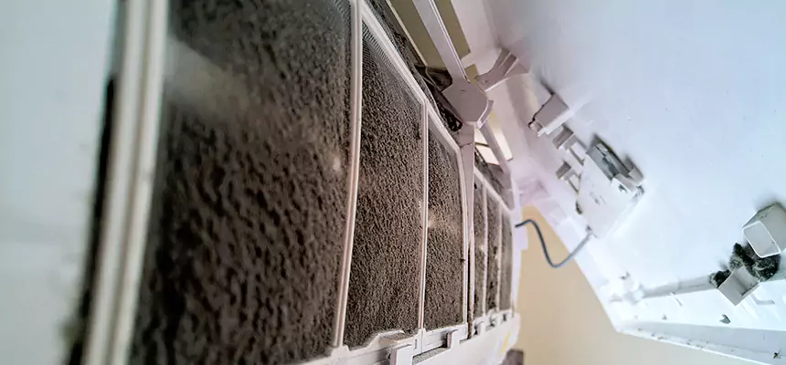 Preventive Air Duct Bacteria Removal in Temple Terrace