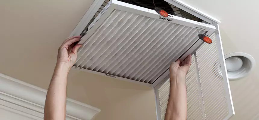 Preventive Cockroach-Proofing for Ducts in Temple Terrace