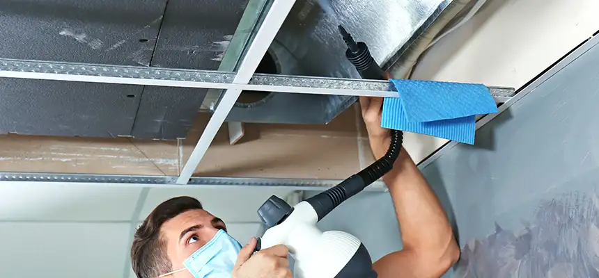 Our Air Duct Rodent Removal Services in Temple Terrace, FL