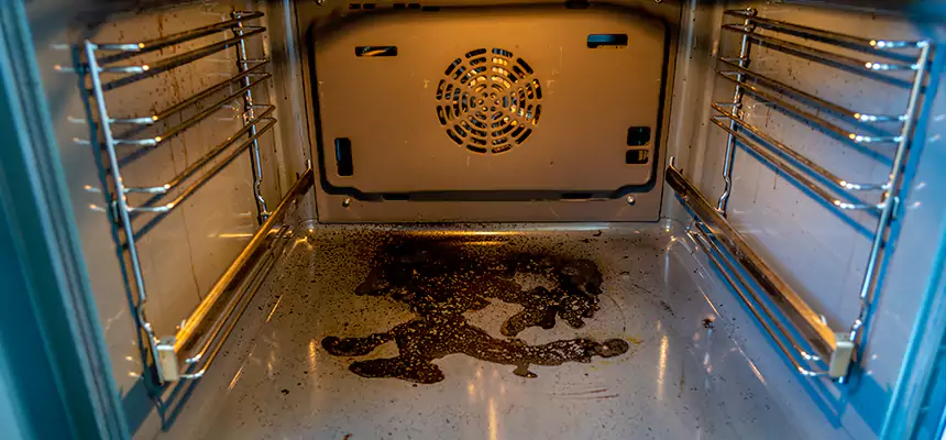 Our Air Purifier Installation Services in Temple Terrace, FL