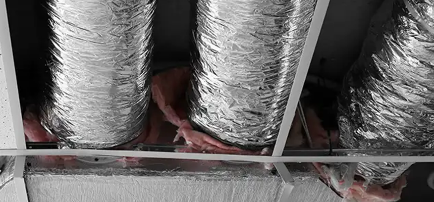 Scalable Commercial Multi‑Unit Dryer Vent Camera Inspection in Temple Terrace, FL