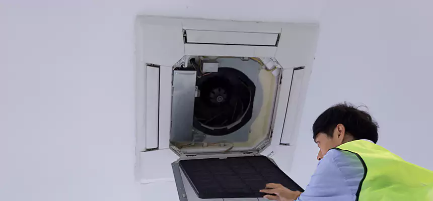 Our Dryer Vent Sanitization Service Services in Temple Terrace, FL