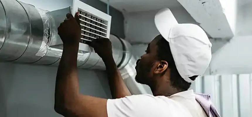 Our Licensed And Insured Cleaners in Temple Terrace, FL