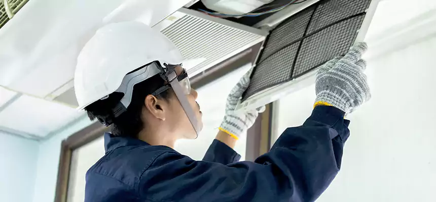 Our Mold & Mildew Removal from Air Ducts Services in Temple Terrace, FL