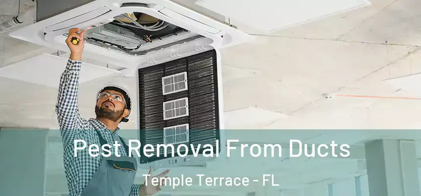  Pest Removal From Ducts Temple Terrace - FL