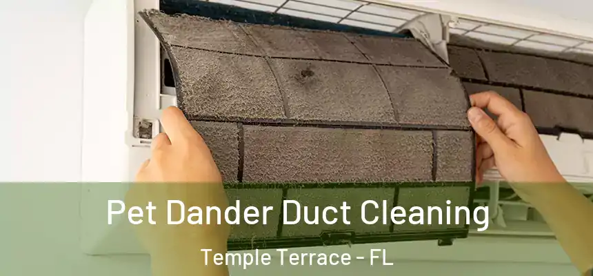  Pet Dander Duct Cleaning Temple Terrace - FL