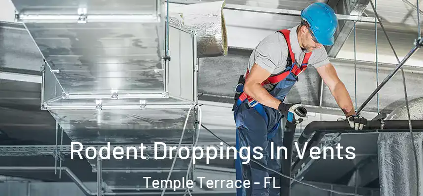  Rodent Droppings In Vents Temple Terrace - FL
