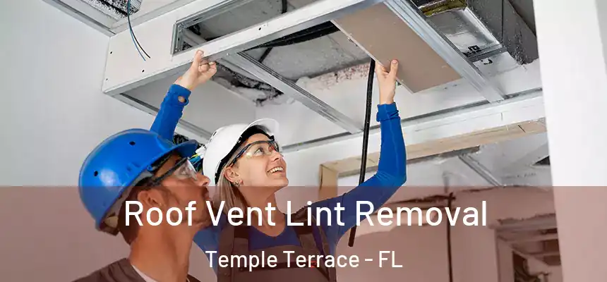  Roof Vent Lint Removal Temple Terrace - FL