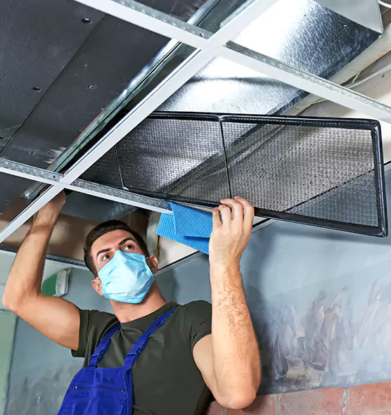 About Air Duct Bacteria Removal in Temple Terrace
