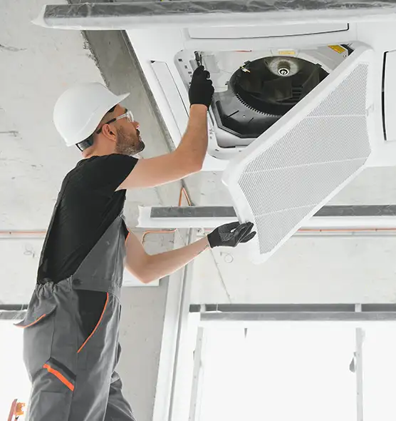 About Air Duct Rodent Removal in Temple Terrace, FL