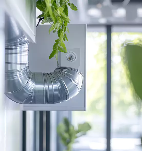 Professional Eco-Safe Dryer Vent Cleaning in Temple Terrace, FL