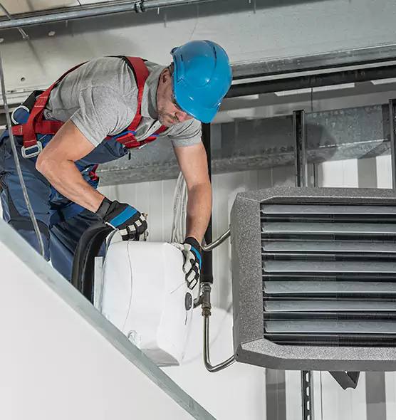 About HVAC Mold Remediation Service in Temple Terrace, FL