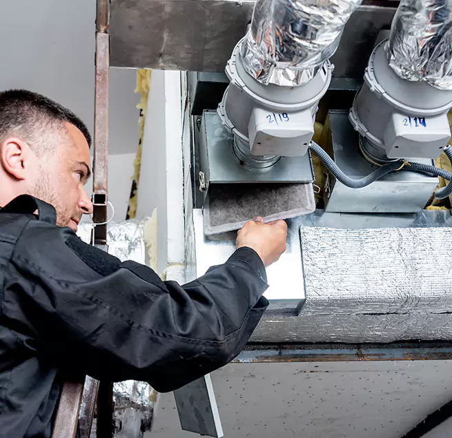 Why Homeowners & Businesses Trust Us in Temple Terrace, FL?