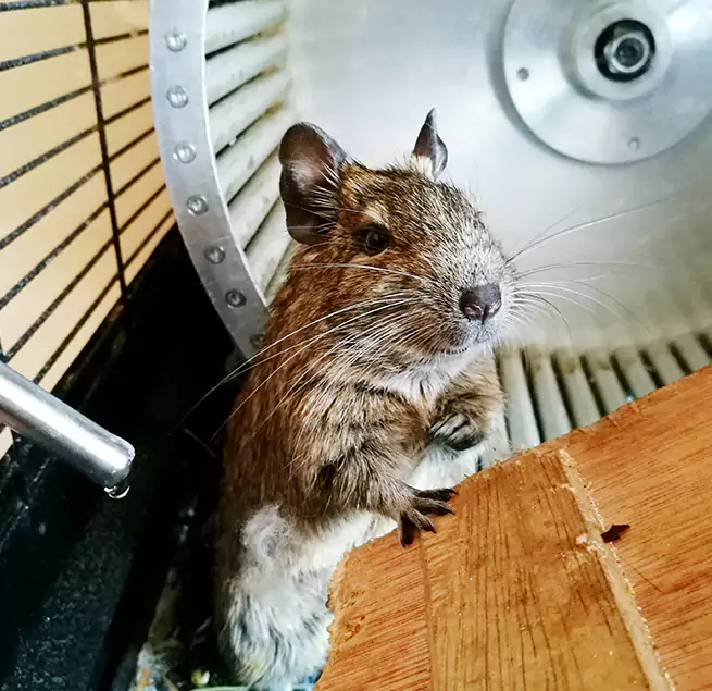 Why Homeowners & Businesses Trust Us Temple Terrace, FL