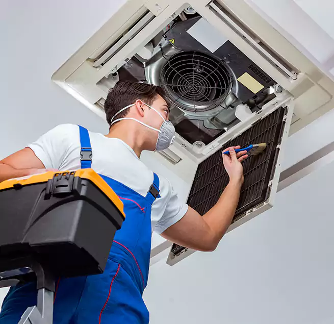 Why Homeowners & Businesses Trust Us in Temple Terrace, FL