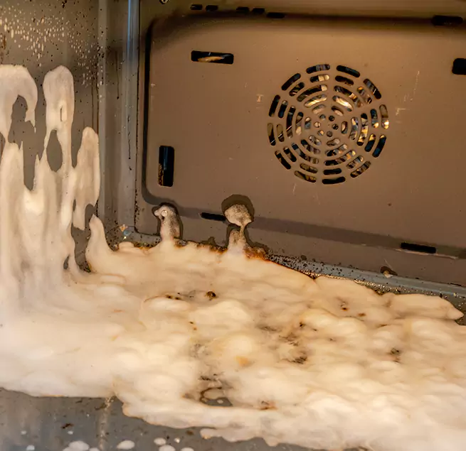 Why Homeowners & Businesses Trust Us in Temple Terrace, FL?