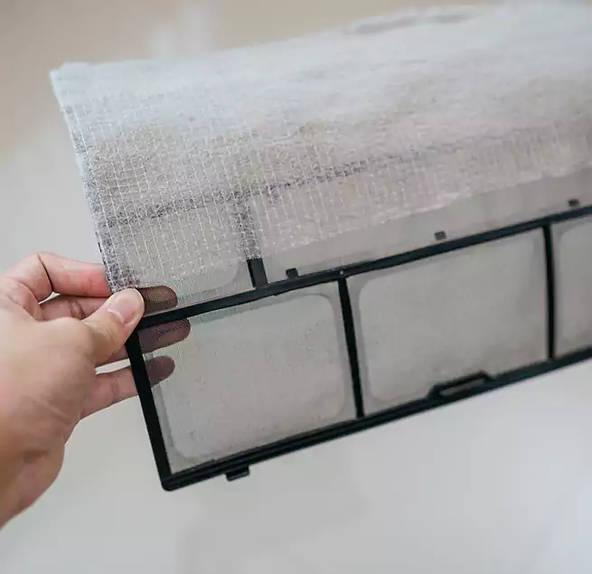 Why Homeowners & Businesses Trust Us in Temple Terrace, FL?