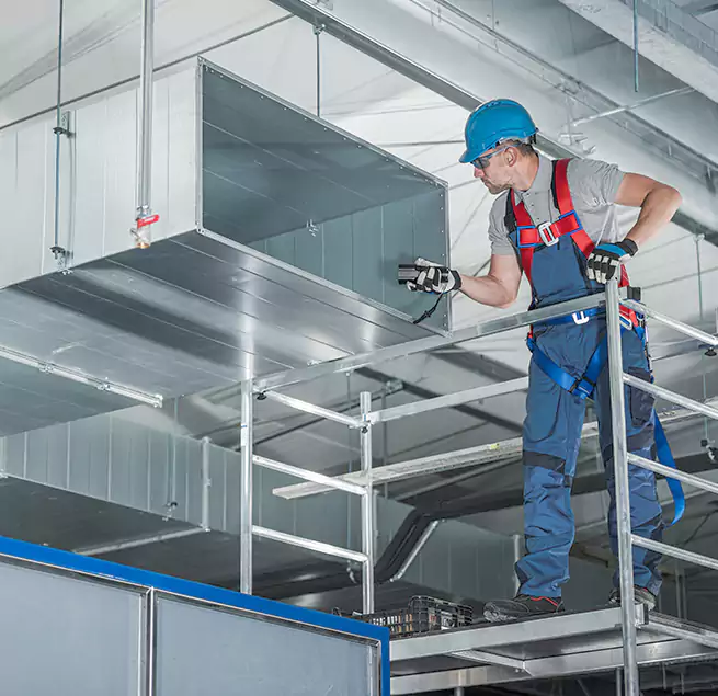 Why Homeowners Businesses Trust Us in Temple Terrace, FL