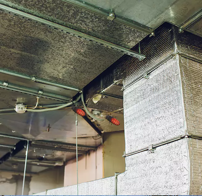 Why Homeowners & Businesses Trust Us Temple Terrace, FL?