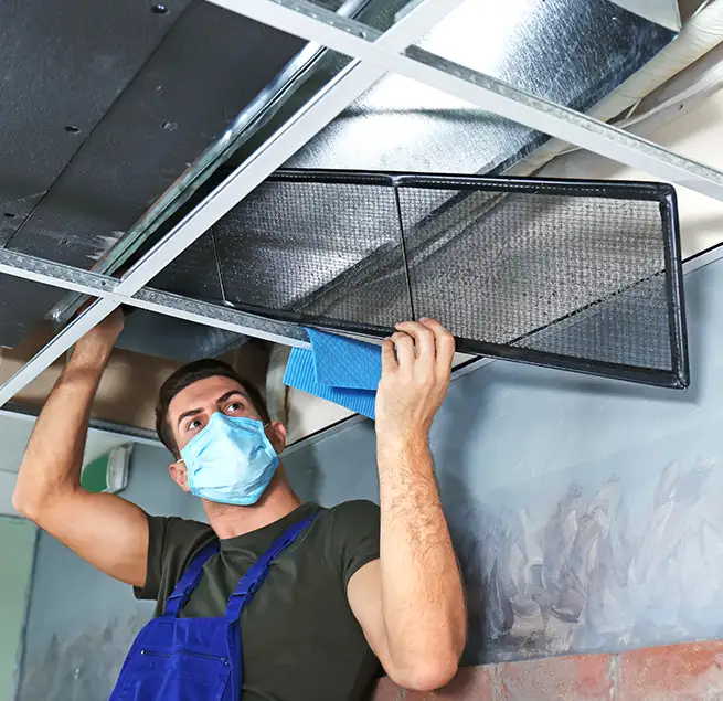 Why Homeowners & Businesses Trust Us in Temple Terrace, FL?