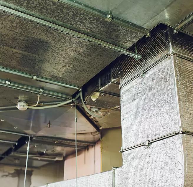 Why Homeowners & Businesses Trust Us in Temple Terrace, FL?