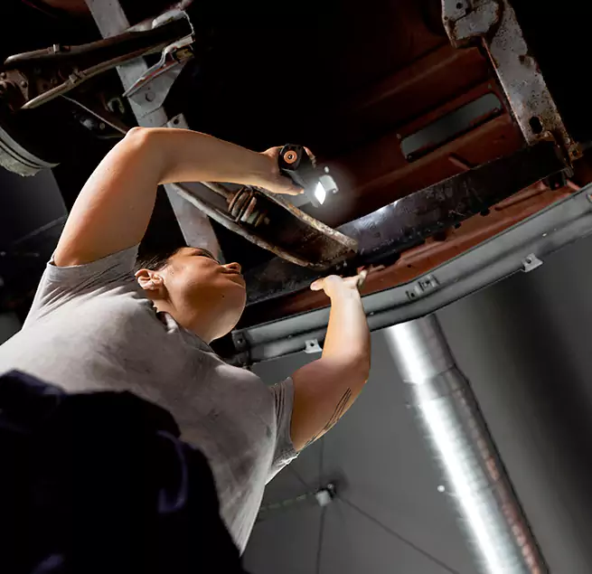 Why Homeowners & Businesses Trust Us Temple Terrace, FL