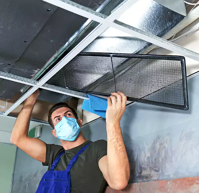 Why Homeowners Businesses Trust Us in Temple Terrace, FL